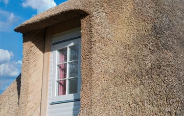Exted thatch roof disadvantages